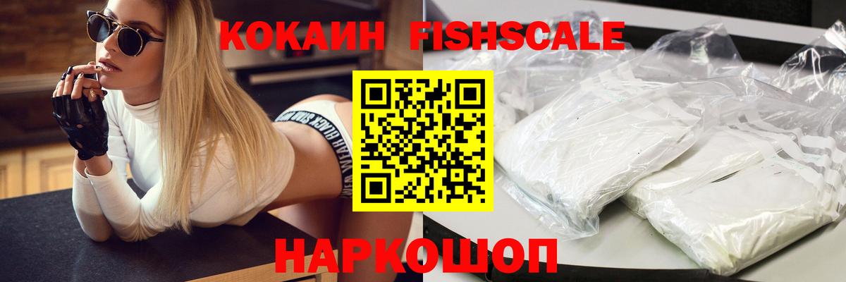 Cocaine Fish Scale Кольчугино
