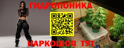 круглые Бийск