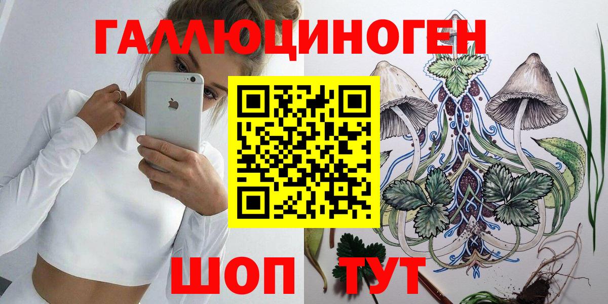 Галлюциногенные грибы Cubensis Кольчугино