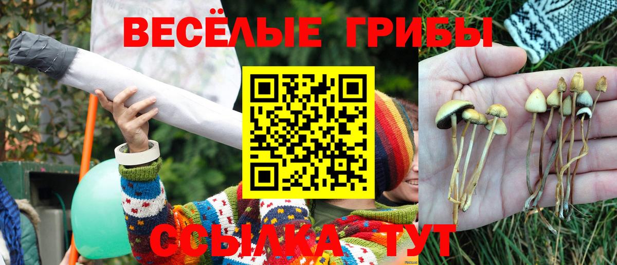Галлюциногенные грибы Magic Shrooms  Галлюциногенные грибы GOLDEN TEACHER  Кольчугино  Вход с VPN 